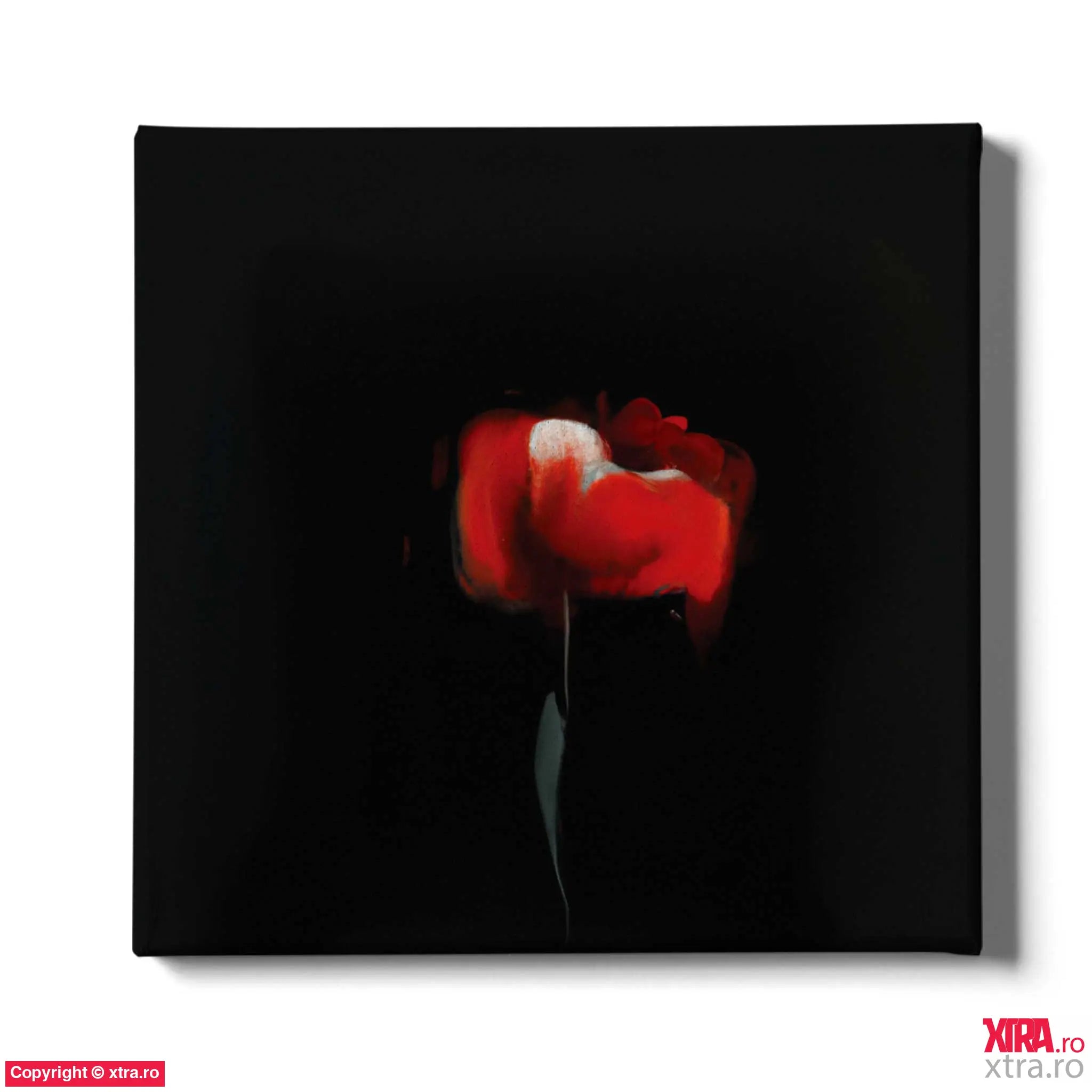 Black & Red 3 - Artx Canvas