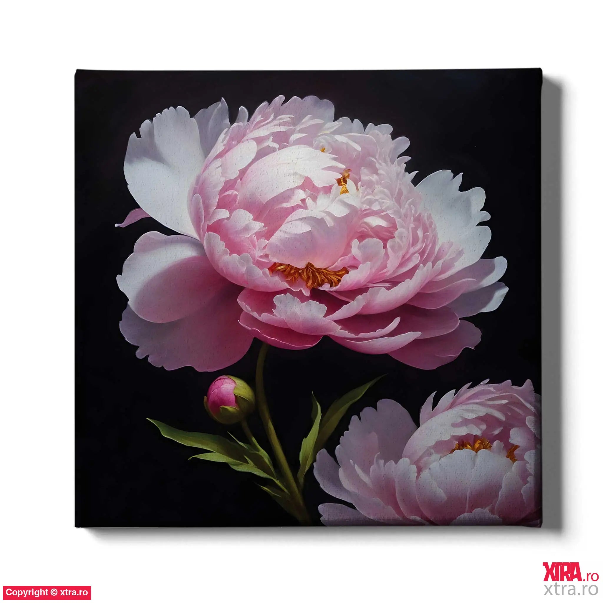 Bloomed Peonies - Artx Canvas