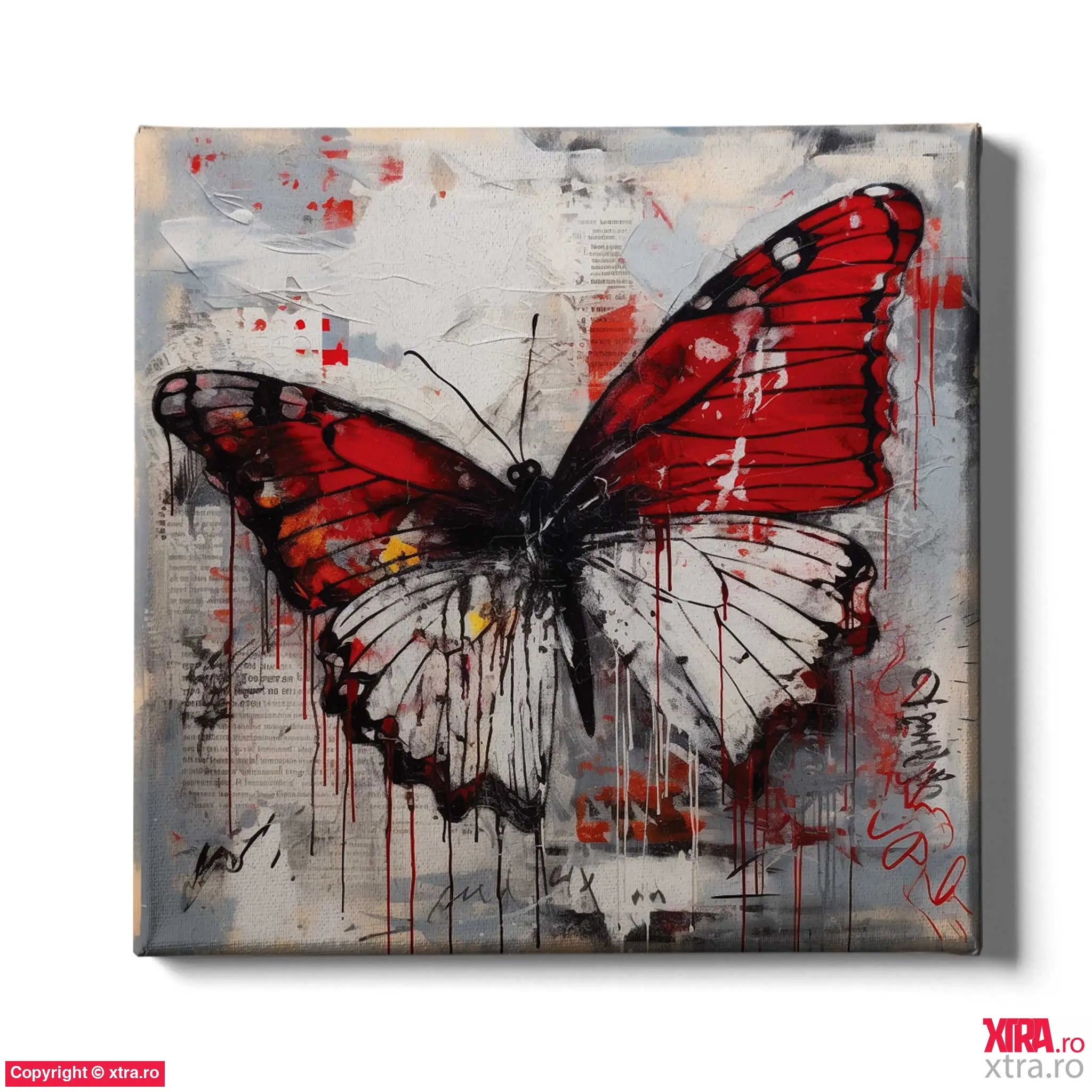 Graffitti Butterfly 3 - Artx Canvas