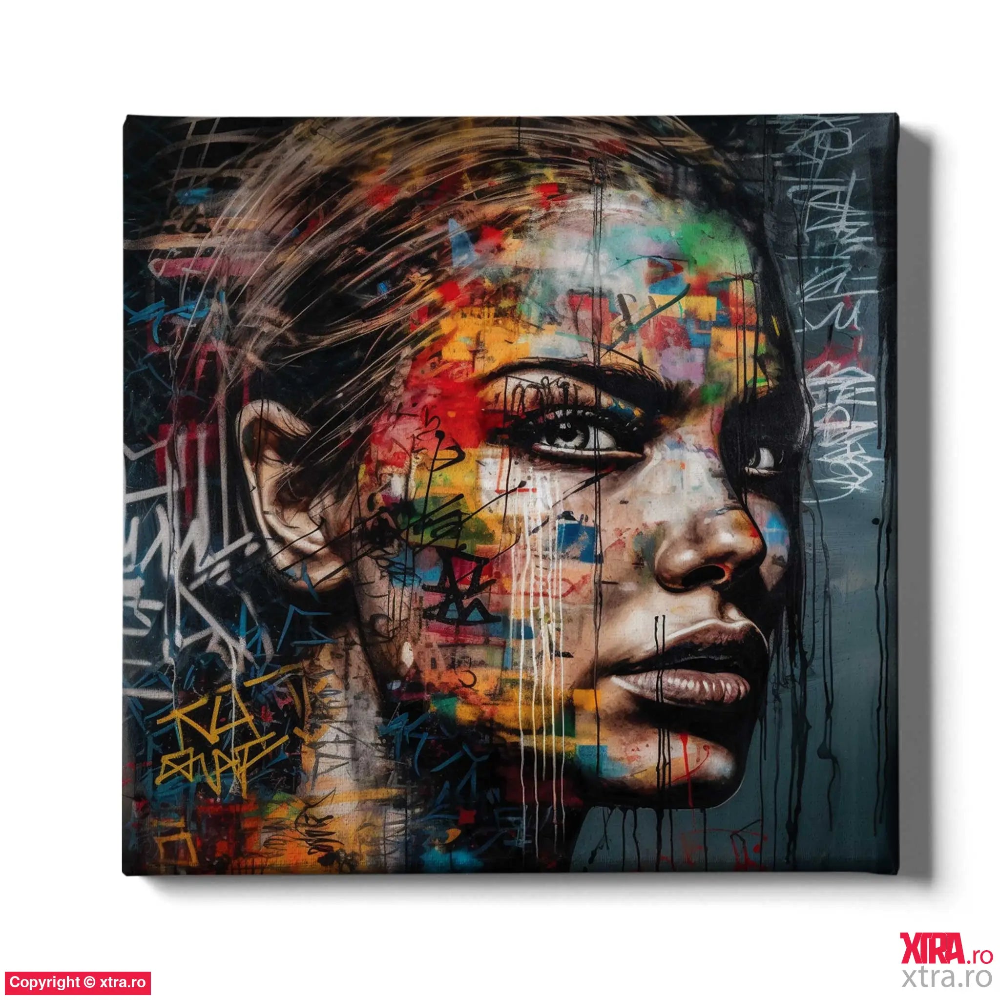 Graffitti Revolution - Artx Canvas