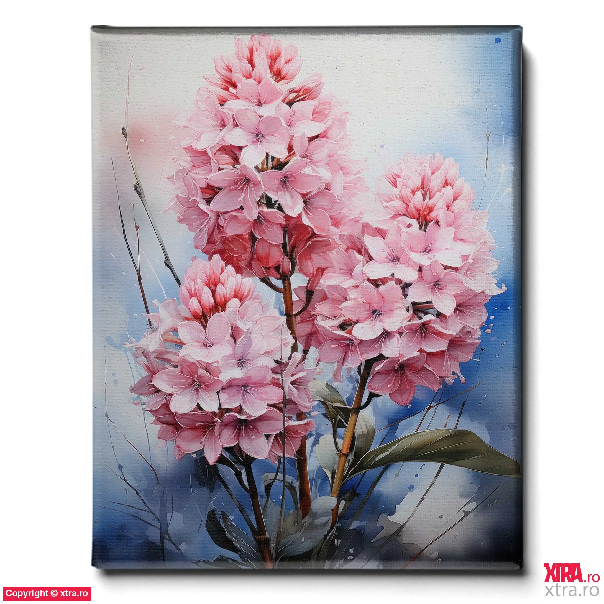 Hyacinth - Artx Canvas