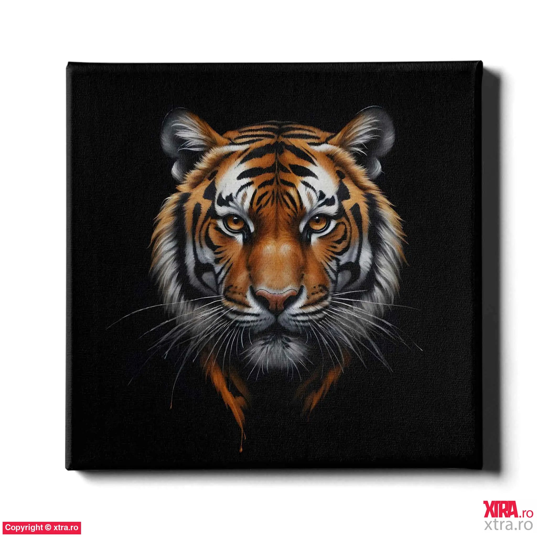 Painted Tiger - Artx Canvas