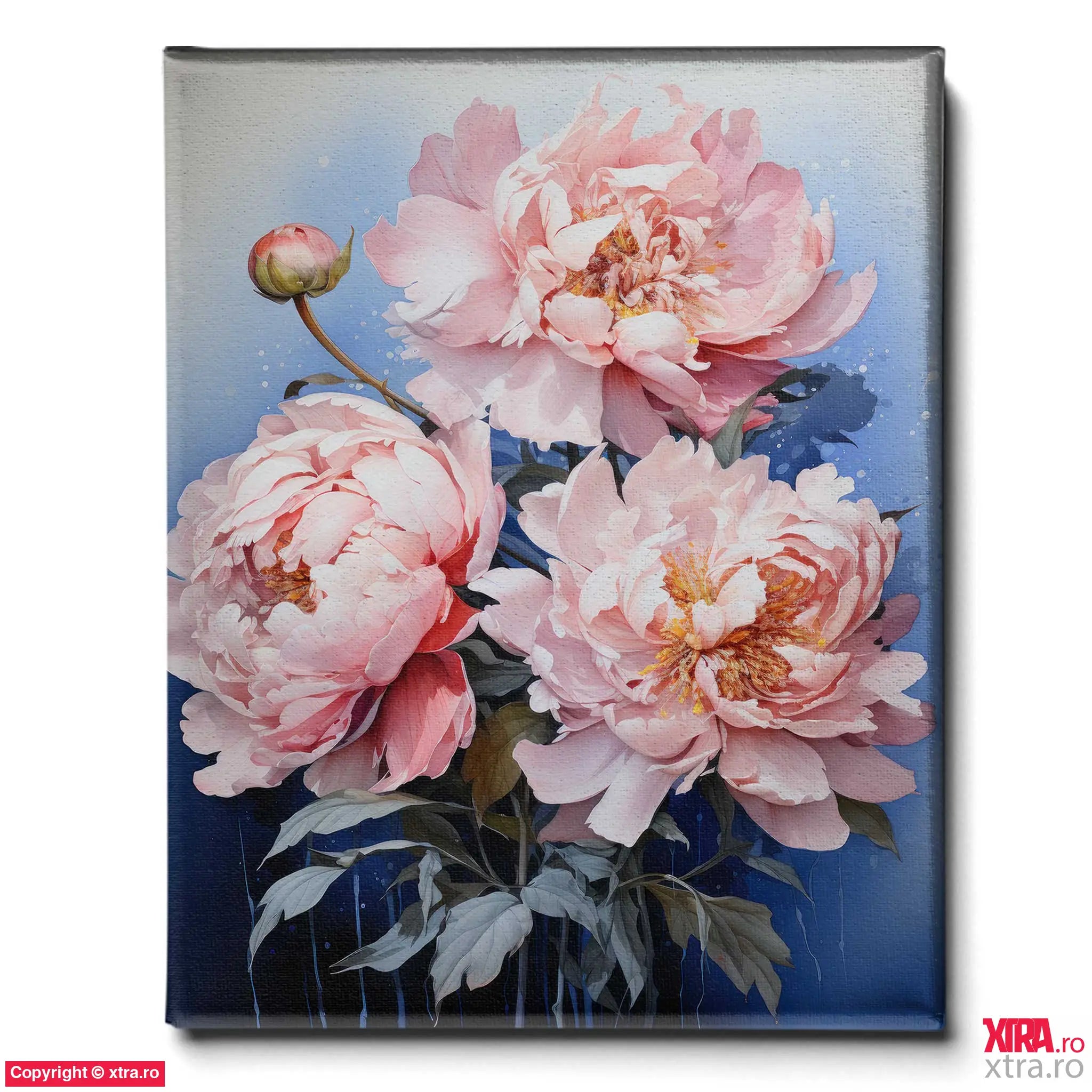 Peonies - Artx Canvas