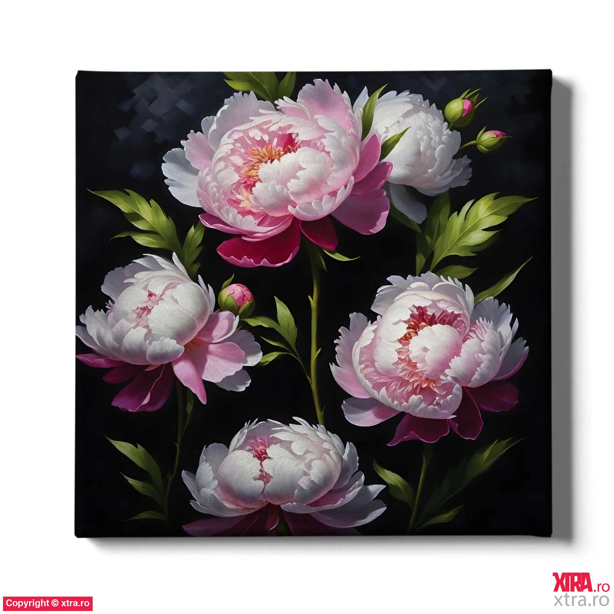 Pink & White - Artx Canvas