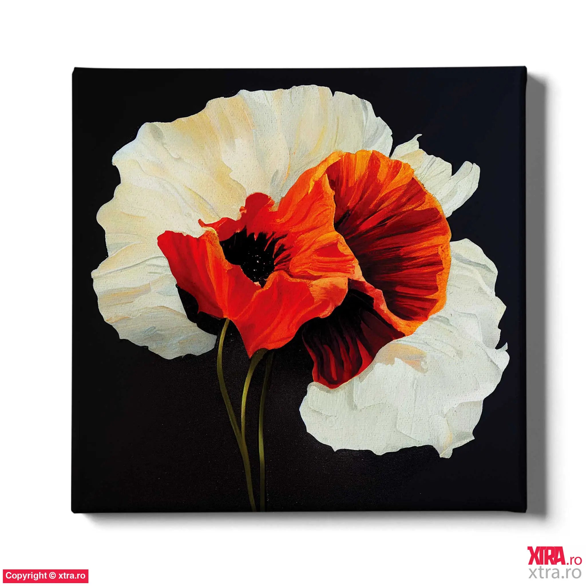 Single Flower 1 - Artx Canvas