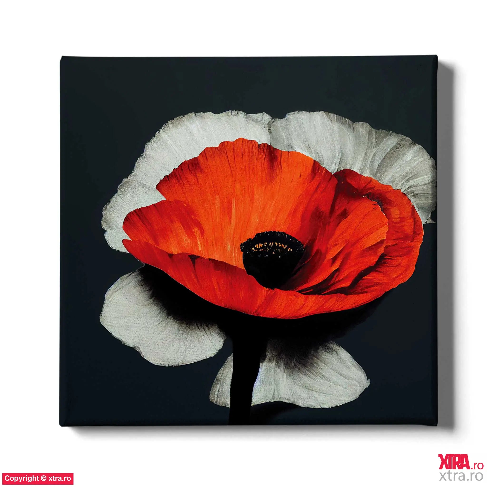 Single Flower 2 - Artx Canvas