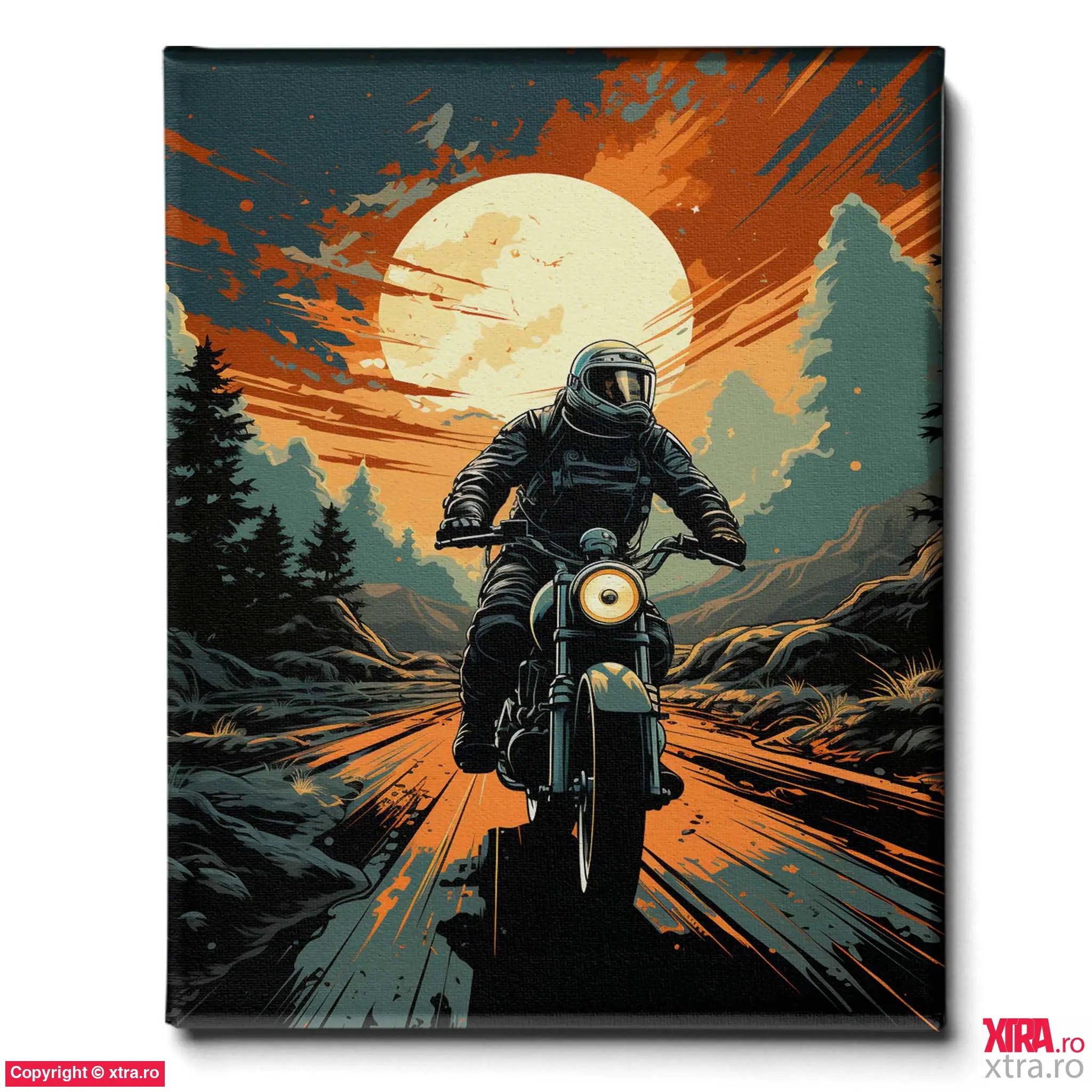 Space Rider - Artx Canvas