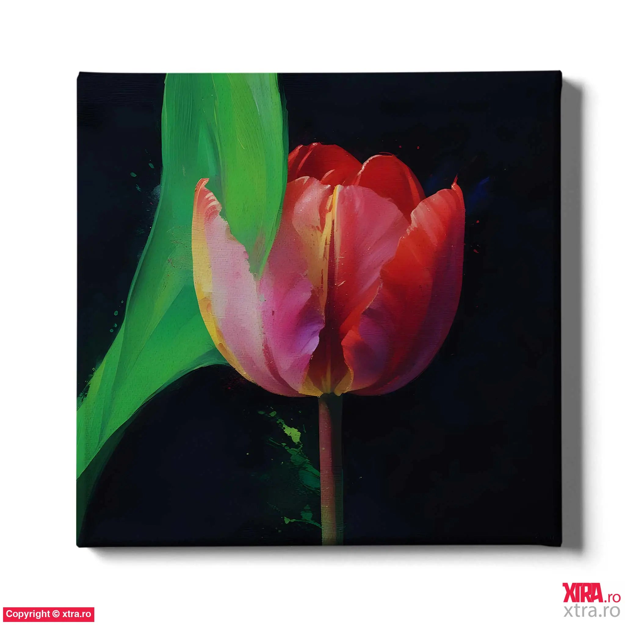 Spring Tulip - Artx Canvas