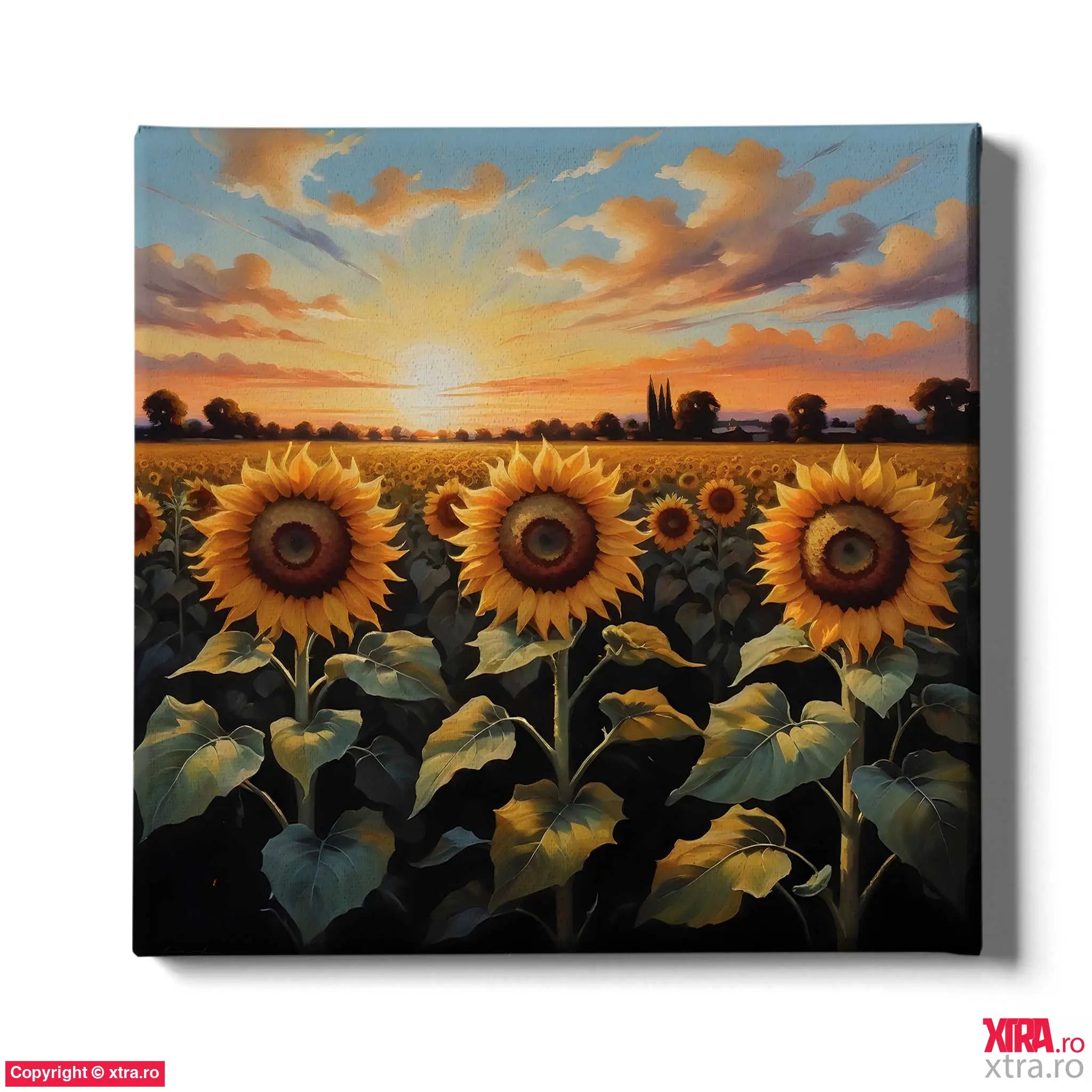 Sunflower Field 1 - Artx Canvas