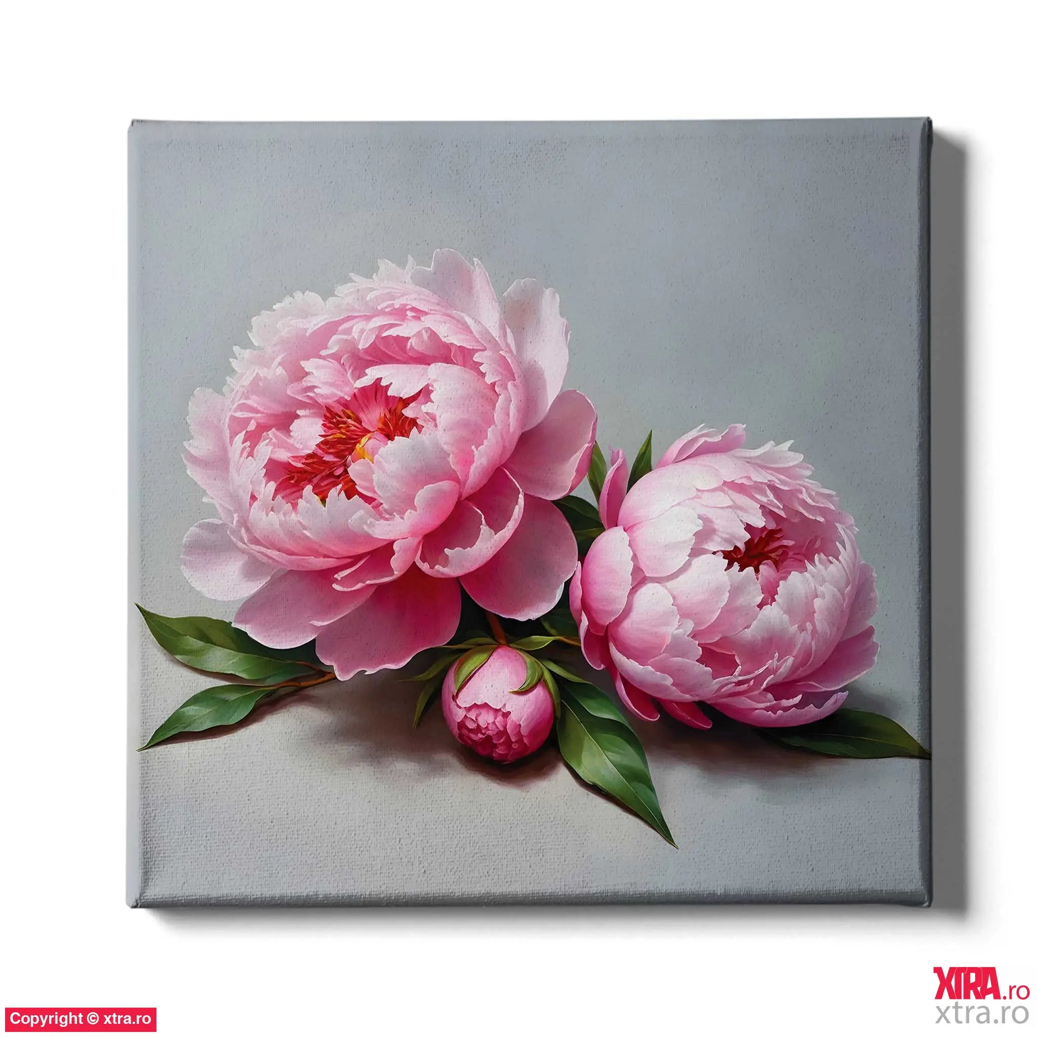 Three Peonies - Artx Canvas