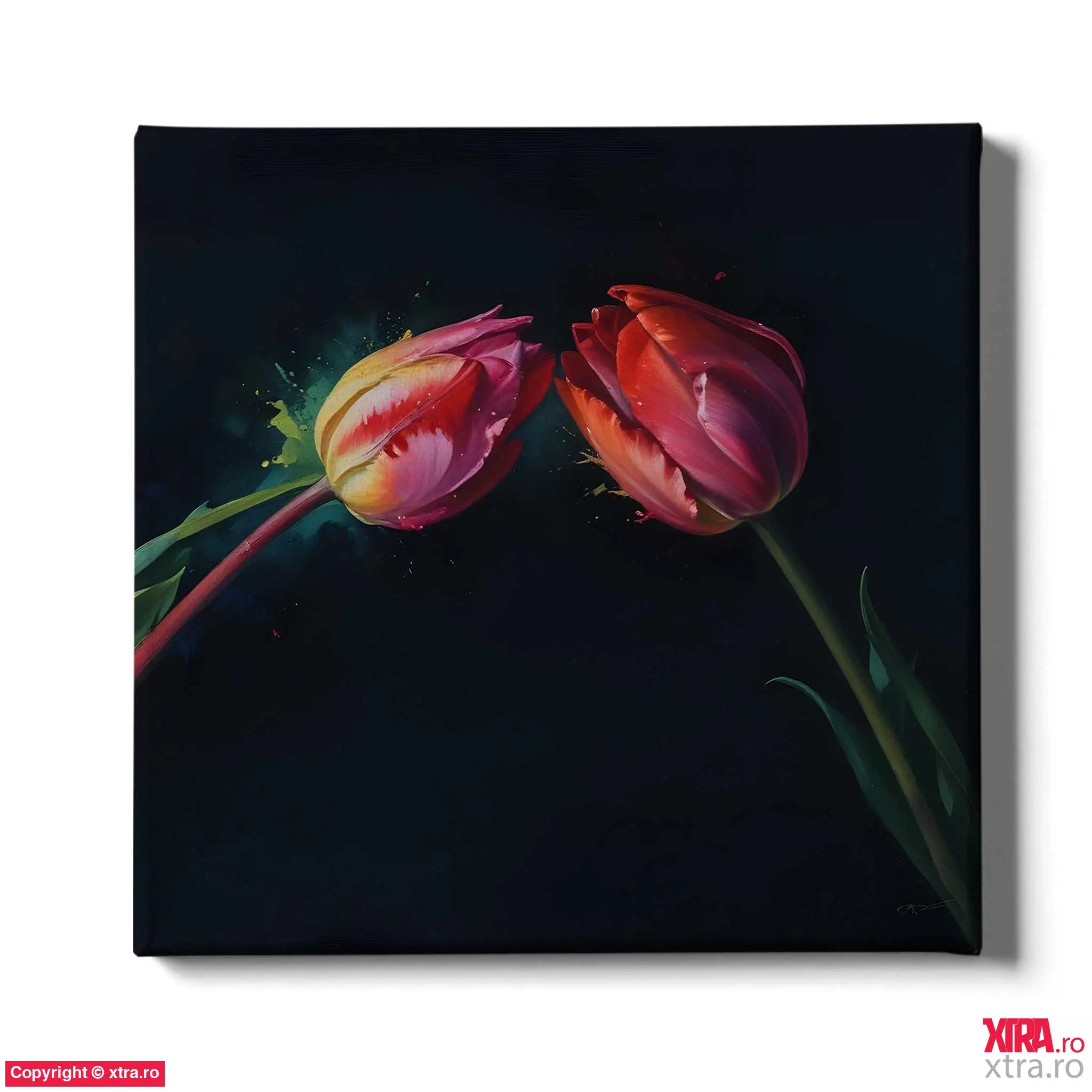 Tulip Petals - Artx Canvas