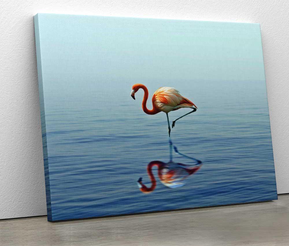 Tablou "Flamingo Reflection" - www.xtraromania.com