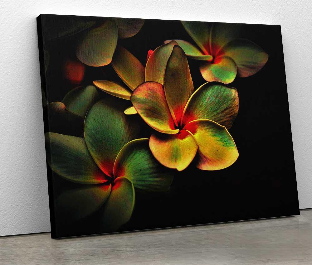 Tablou "Plumeria Flower" - www.xtraromania.com