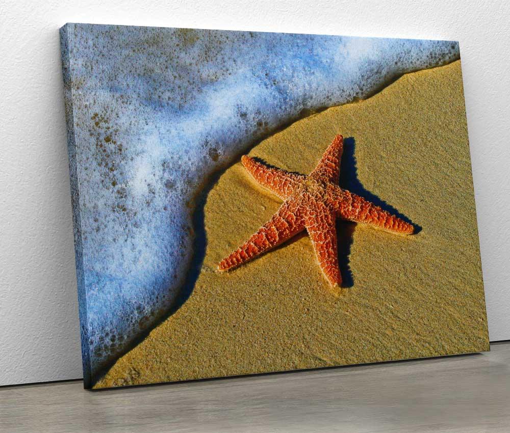 Tablou "Starfish 2" - www.xtraromania.com