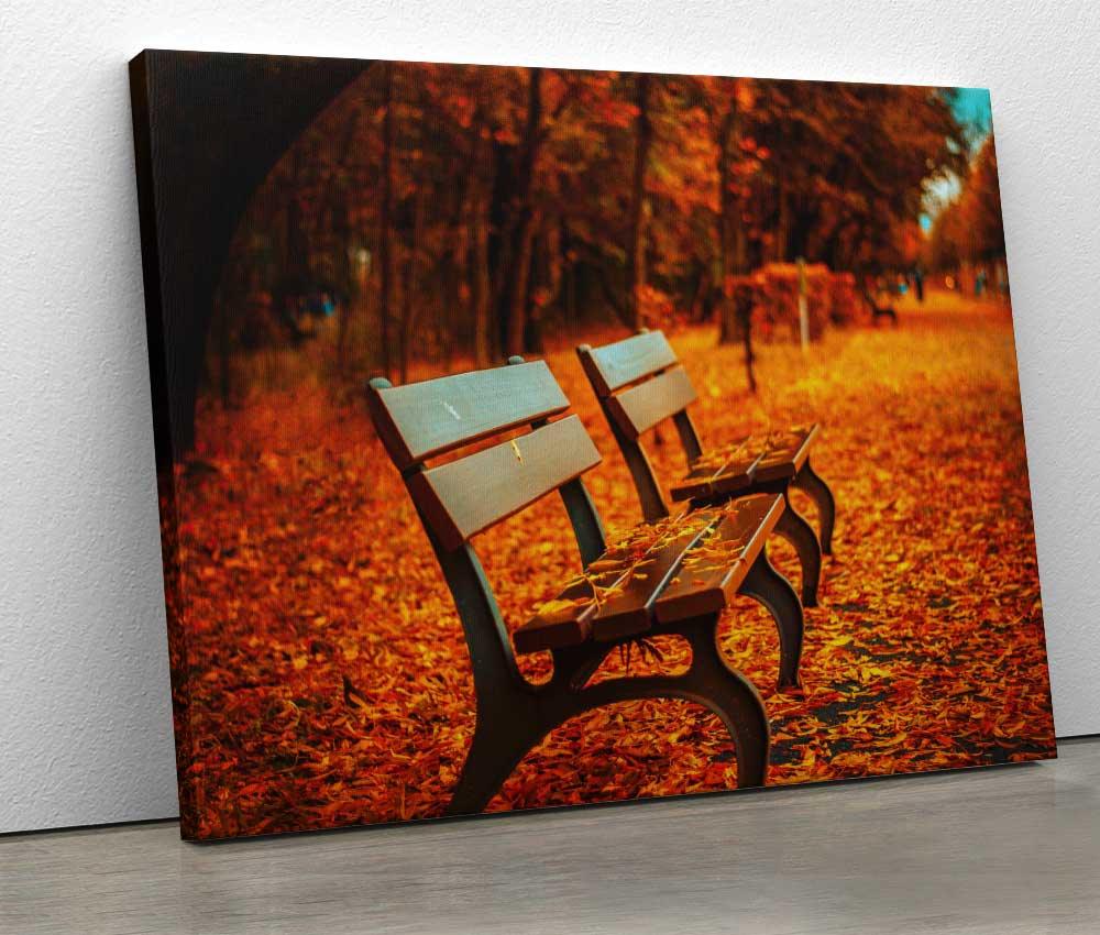 Tablou "Autumn Benches" - www.xtraromania.com