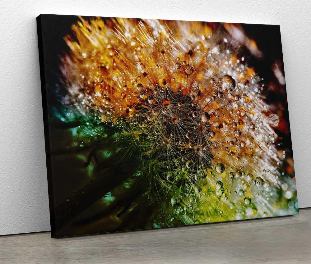 Tablou "Colorful Dandelion" - www.xtraromania.com