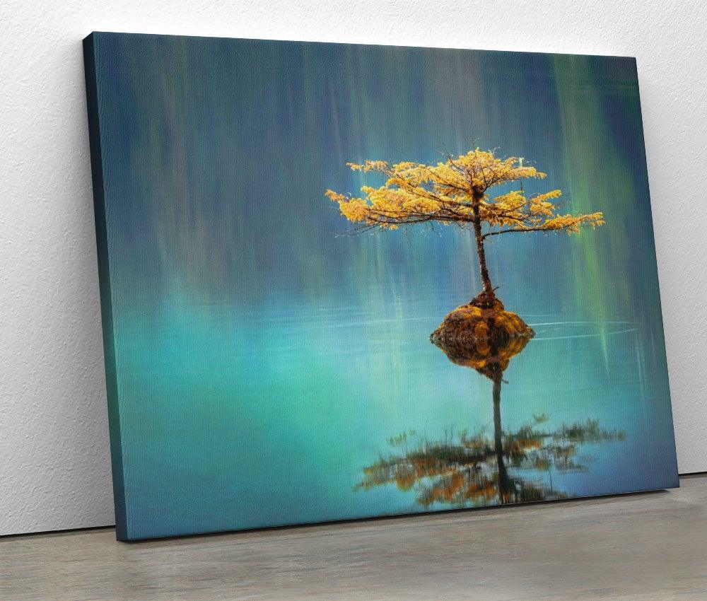 Tablou "Lake Tree" - www.xtraromania.com