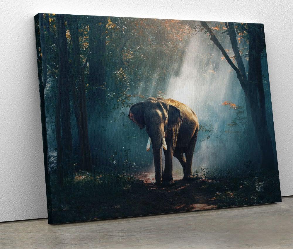 Tablou "Elephant in the Forest" - www.xtraromania.com