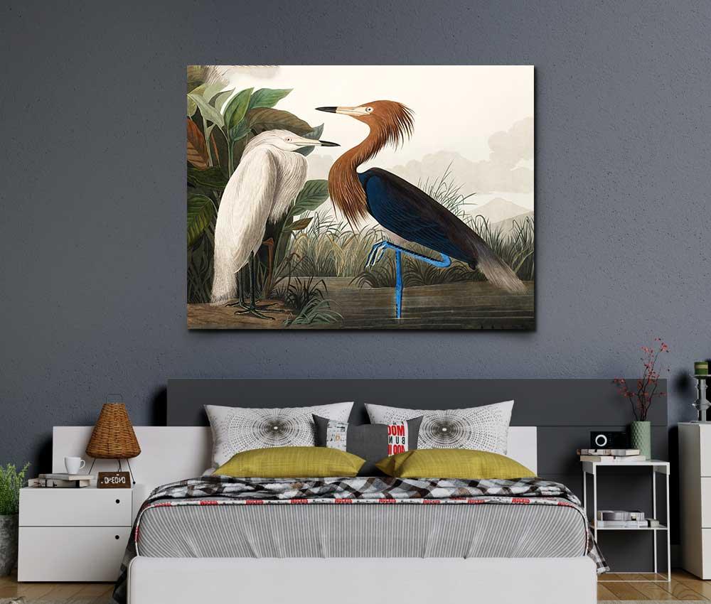 John James Audubon - Purple Heron - www.xtraromania.com