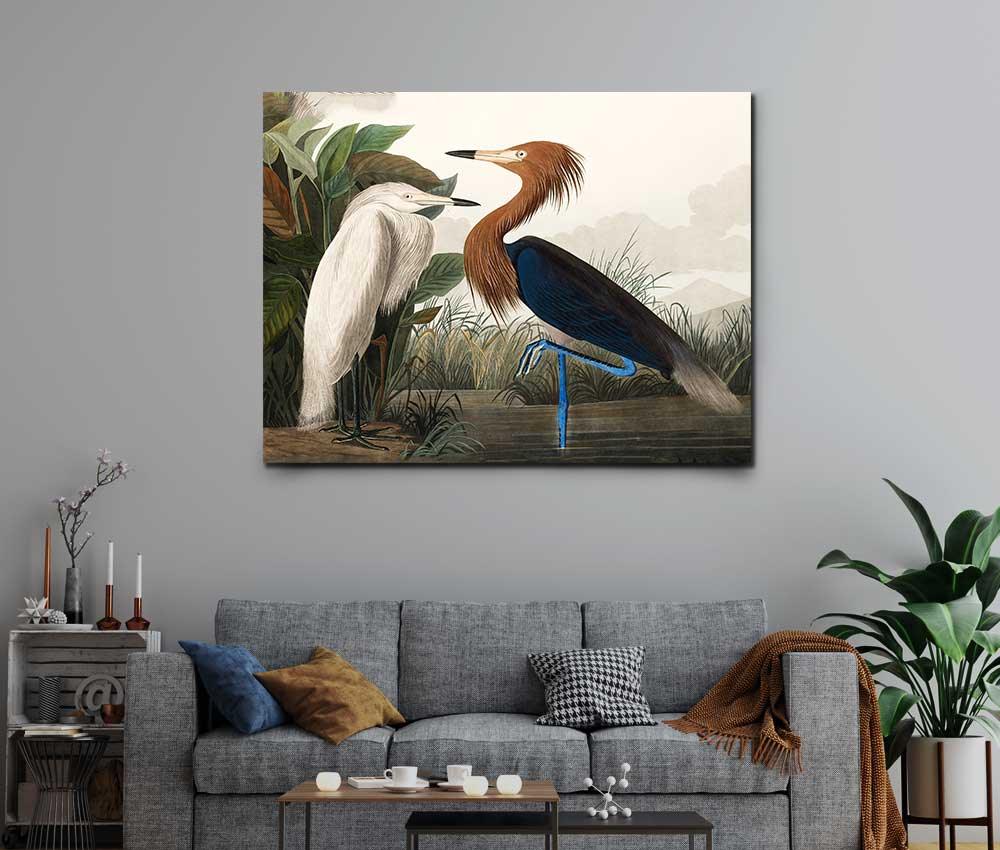 John James Audubon - Purple Heron - www.xtraromania.com